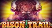 Bison Trail slot machine by Platipus gaming!